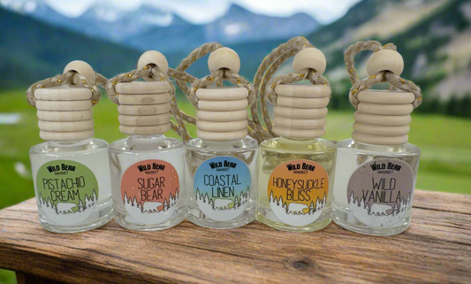 Best Non-Toxic Car Fresheners: Natural vs Traditional