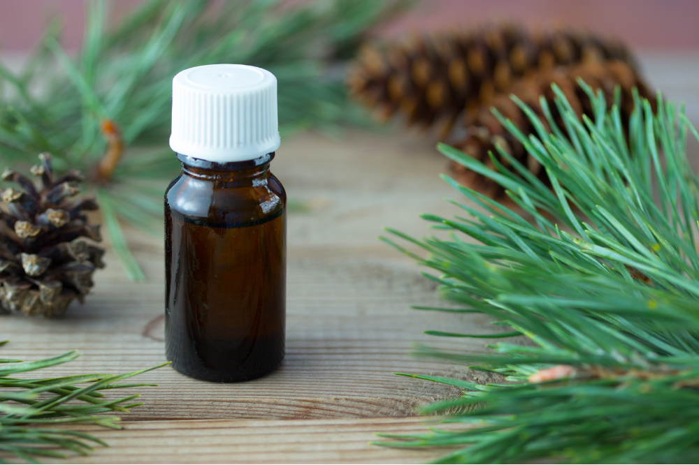 Pine Tar Soap Guide: Discover the Natural Magic of Pine Tar