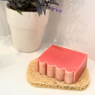 Soap Saver Sponge